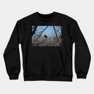 Bald Eagle Crewneck Sweatshirt